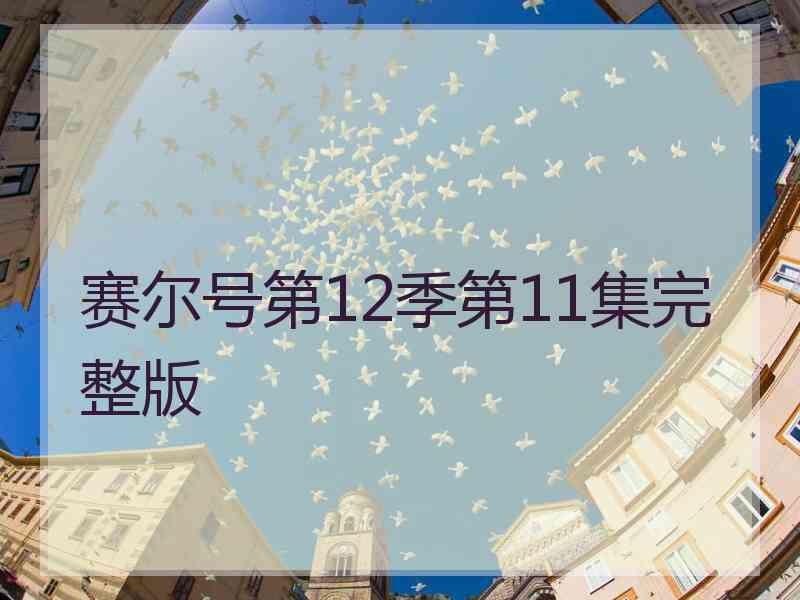 赛尔号第12季第11集完整版