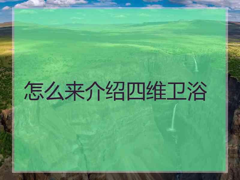 怎么来介绍四维卫浴