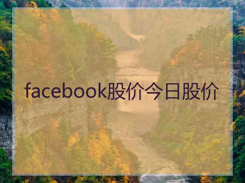 facebook股价今日股价