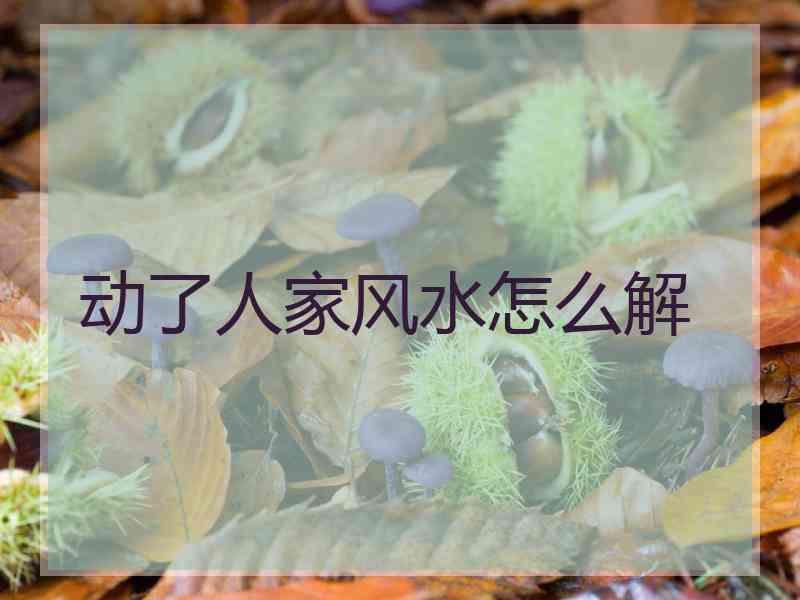 动了人家风水怎么解