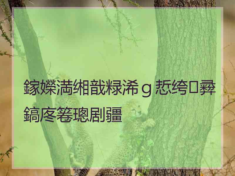 鎵嬫満缃戠粶浠ｇ悊绔彛鎬庝箞璁剧疆