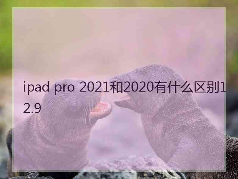 ipad pro 2021和2020有什么区别12.9