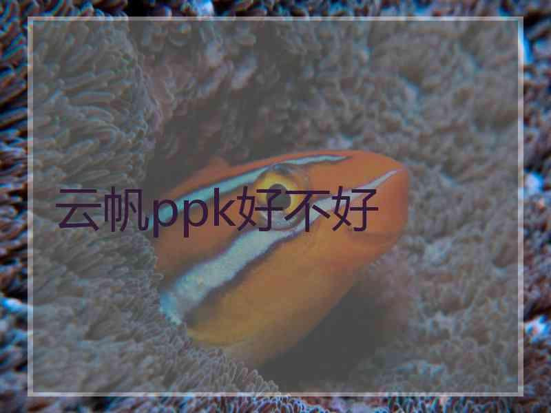 云帆ppk好不好