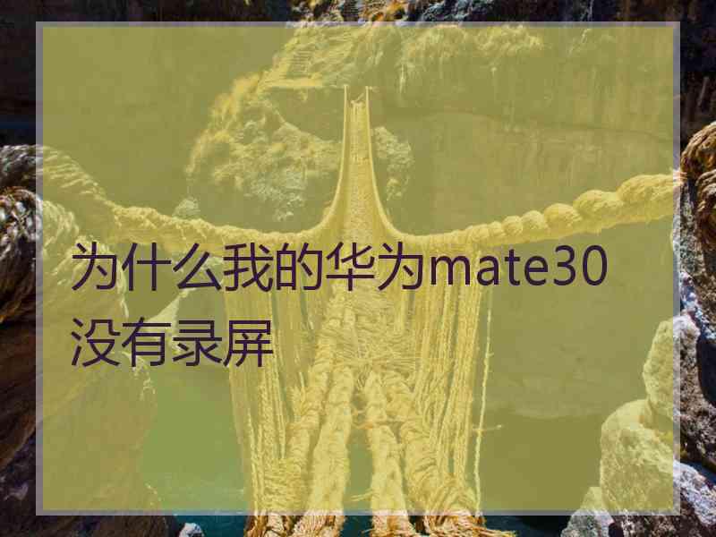为什么我的华为mate30没有录屏