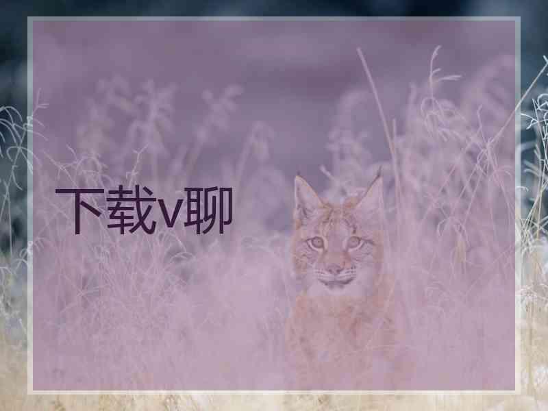 下载v聊