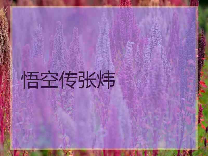 悟空传张炜