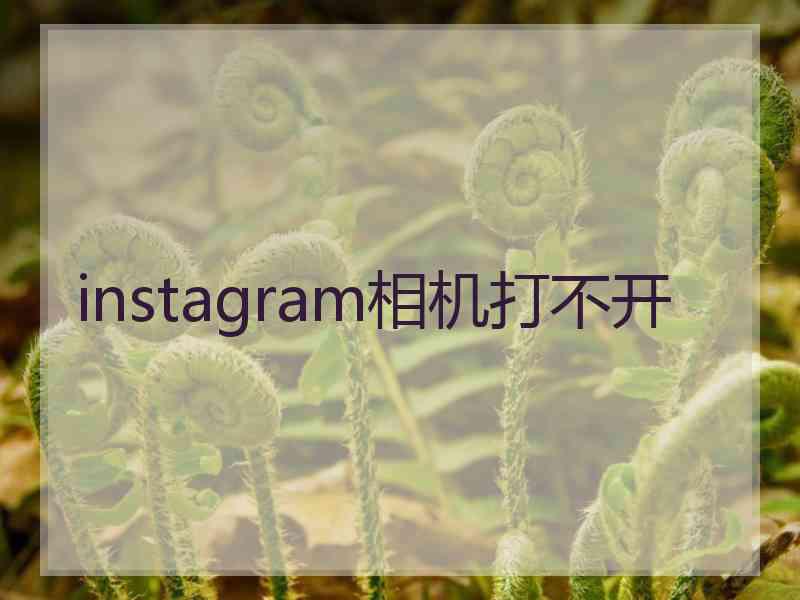 instagram相机打不开
