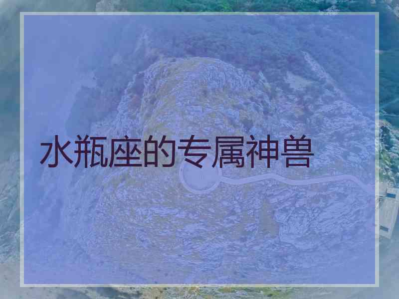水瓶座的专属神兽