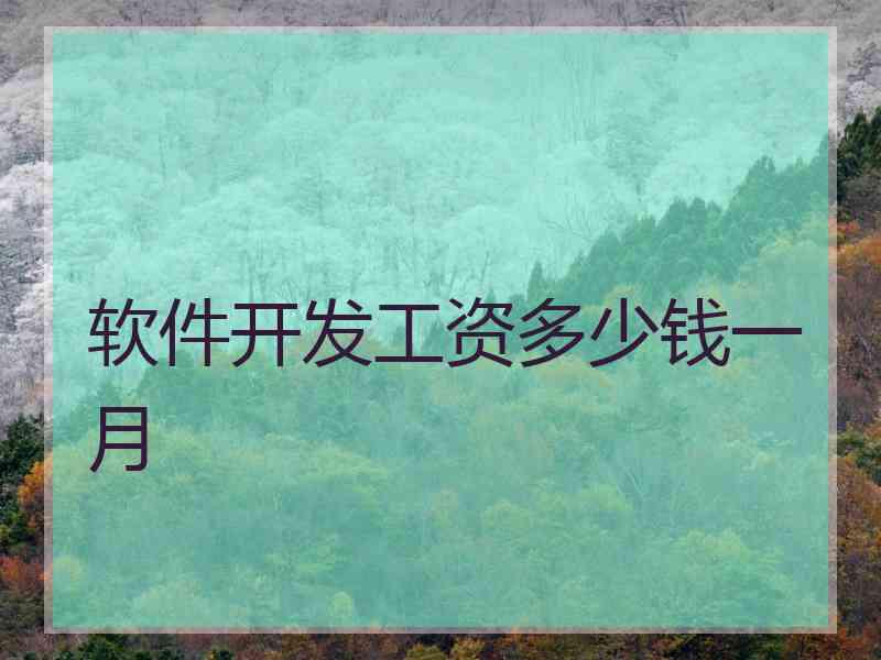 软件开发工资多少钱一月