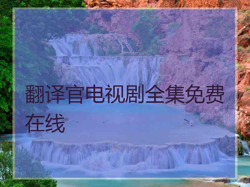 翻译官电视剧全集免费在线