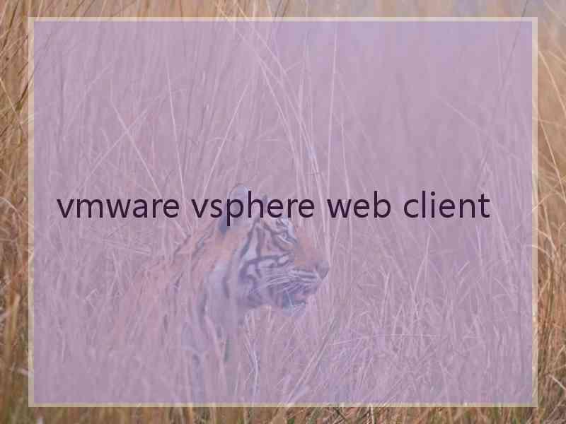 vmware vsphere web client
