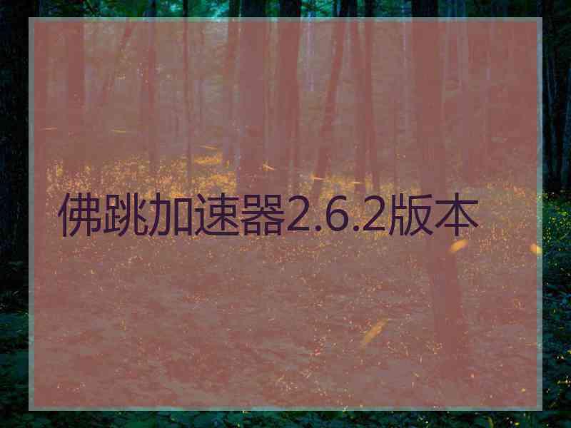 佛跳加速器2.6.2版本
