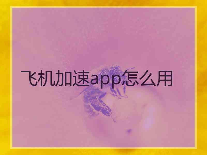 飞机加速app怎么用