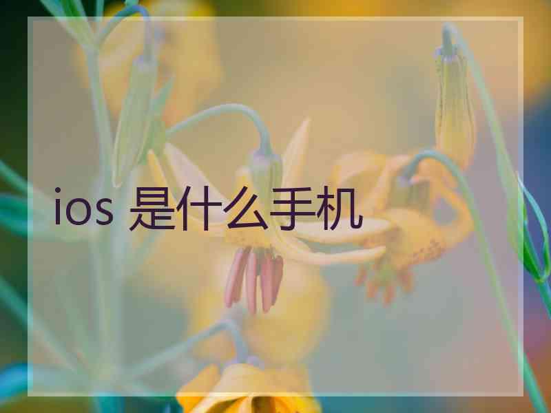 ios 是什么手机