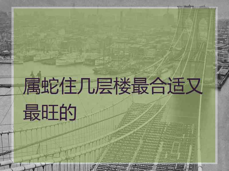 属蛇住几层楼最合适又最旺的