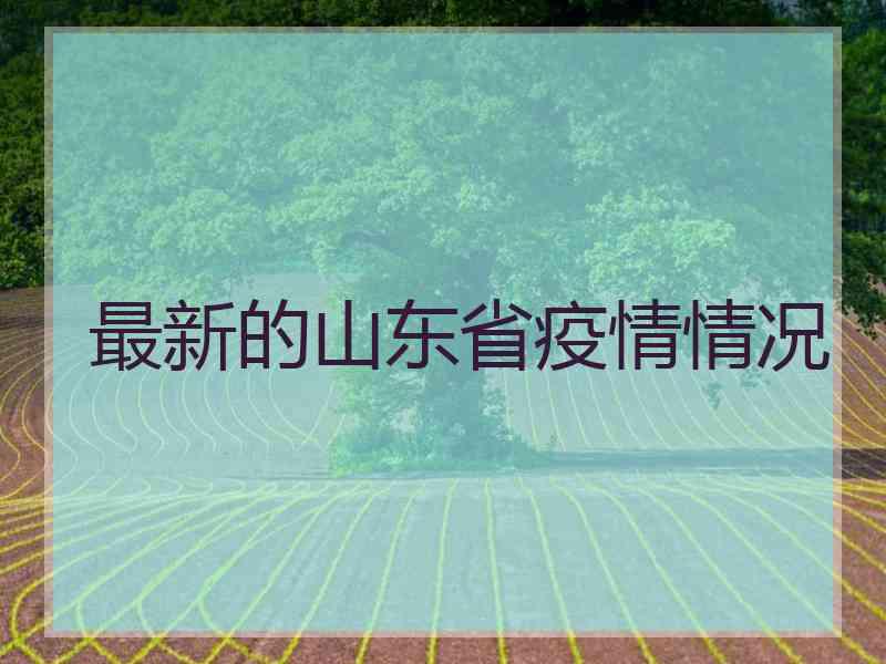 最新的山东省疫情情况