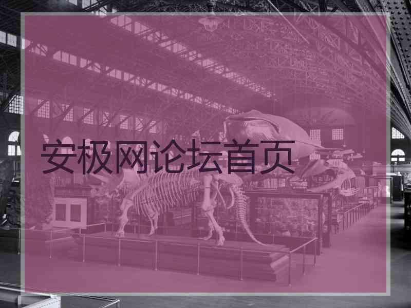 安极网论坛首页