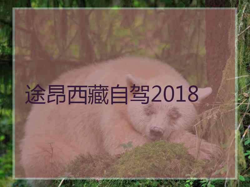 途昂西藏自驾2018