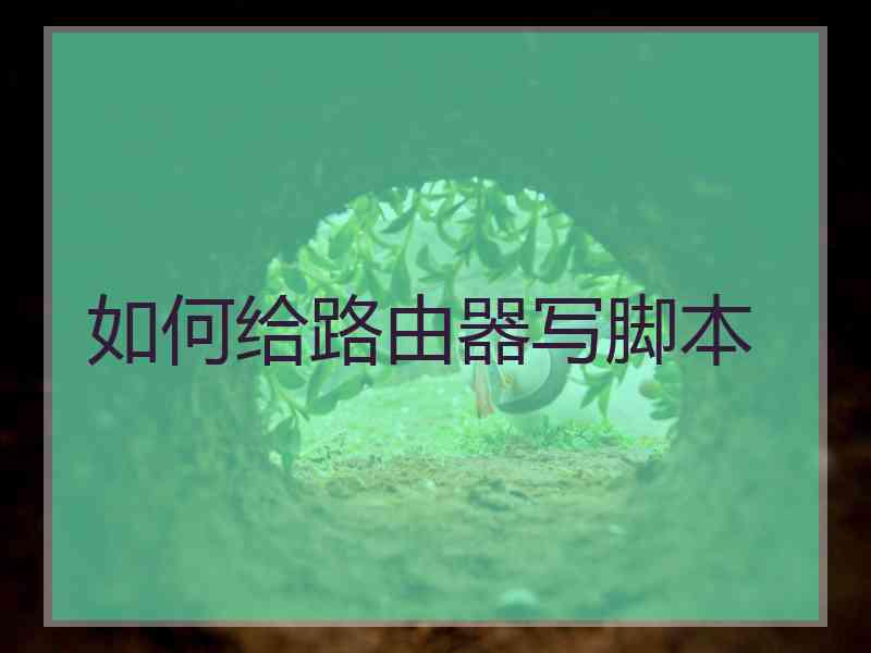 如何给路由器写脚本