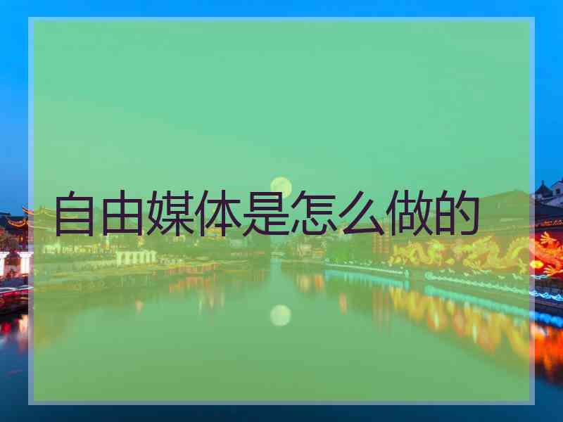 自由媒体是怎么做的