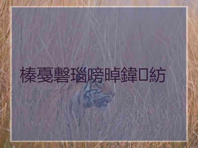榛戞礊瑙嗙晫鍏紡