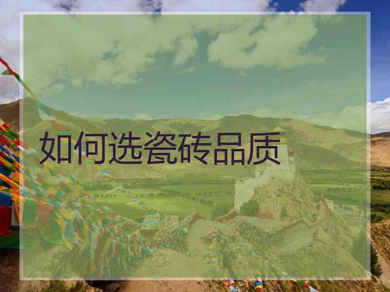 如何选瓷砖品质