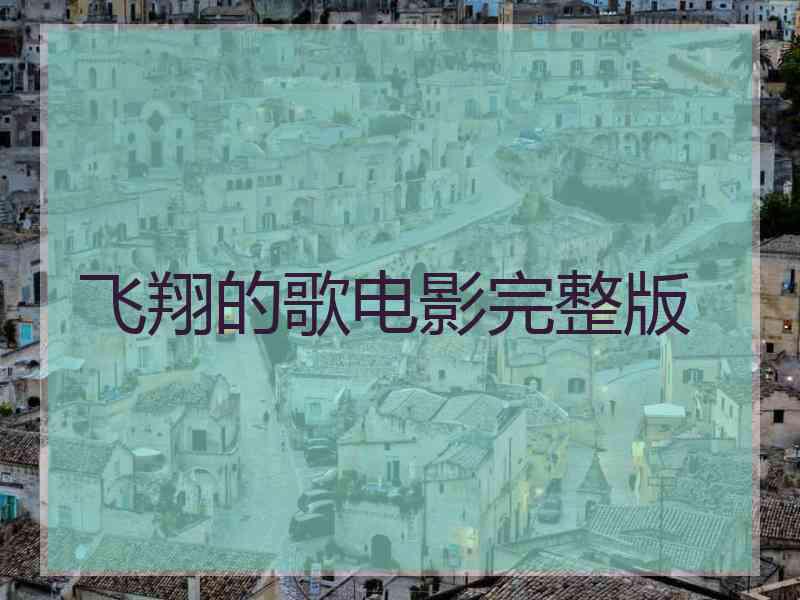 飞翔的歌电影完整版