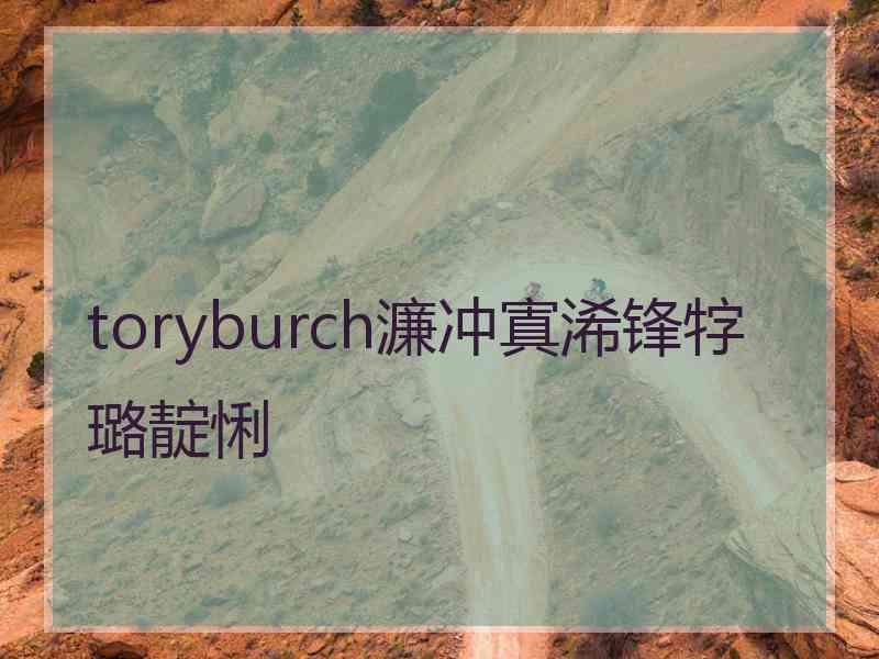 toryburch濂冲寘浠锋牸璐靛悧