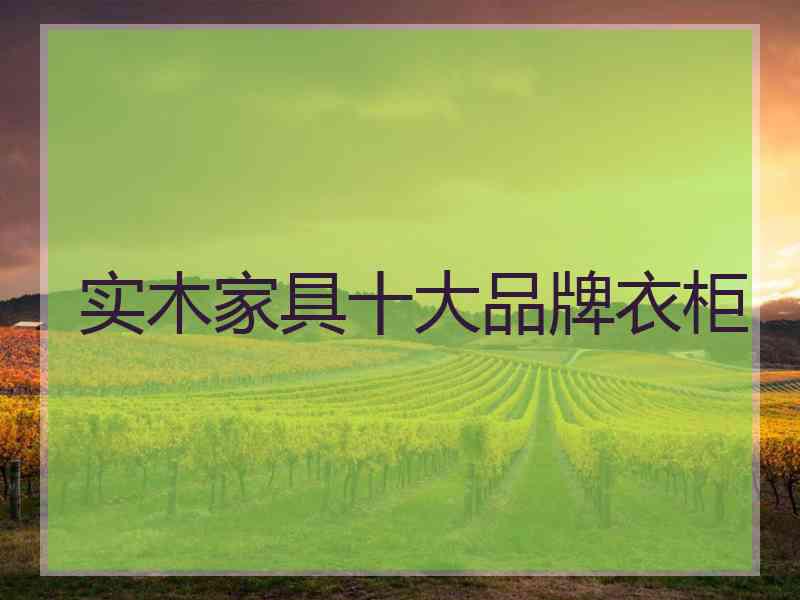 实木家具十大品牌衣柜