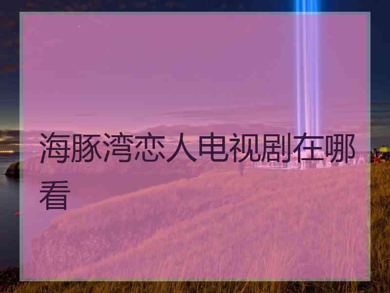 海豚湾恋人电视剧在哪看