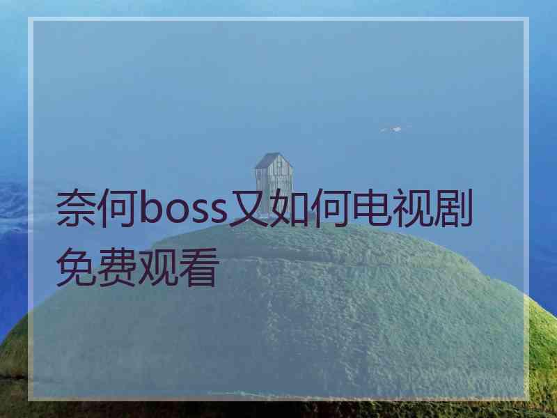 奈何boss又如何电视剧免费观看