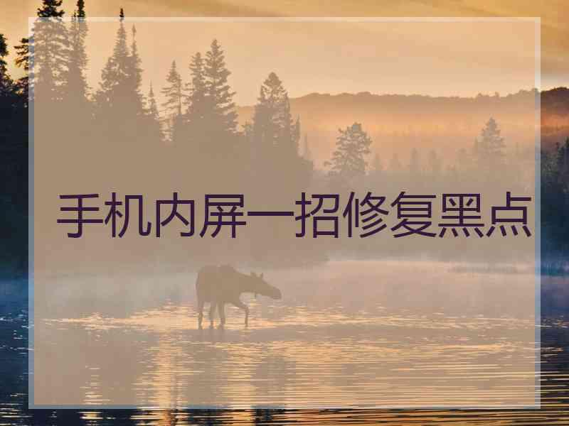 手机内屏一招修复黑点
