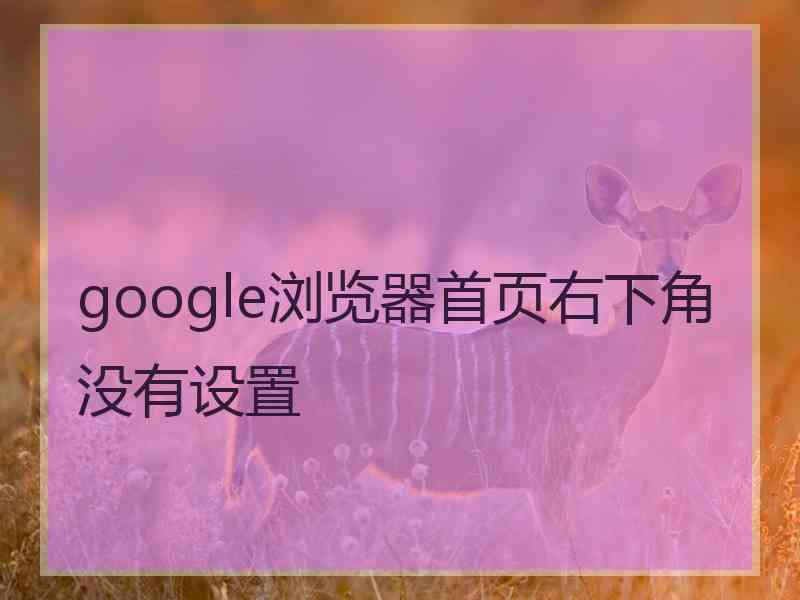 google浏览器首页右下角没有设置