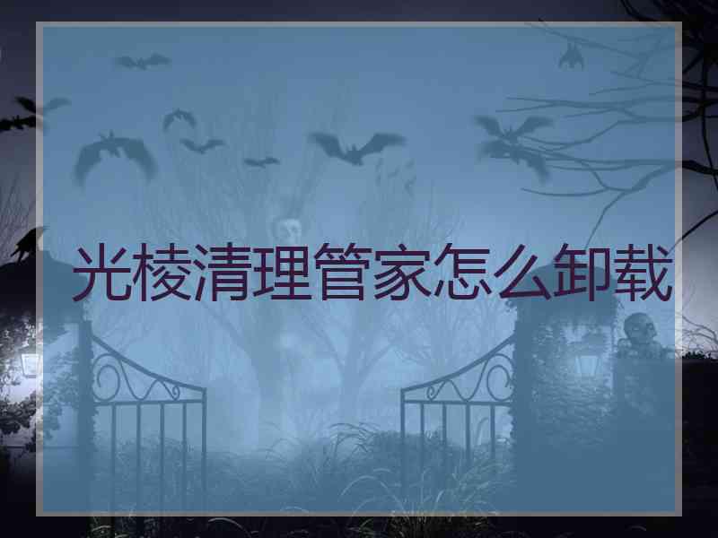 光棱清理管家怎么卸载