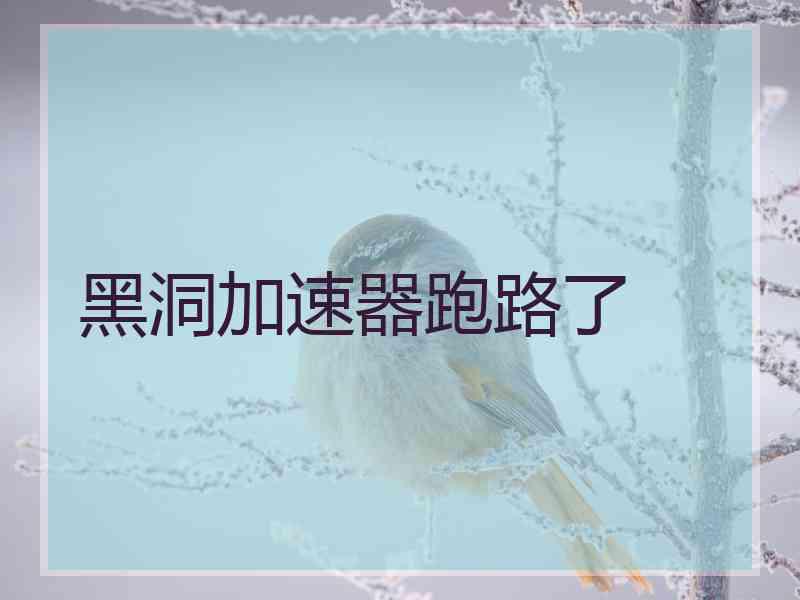 黑洞加速器跑路了