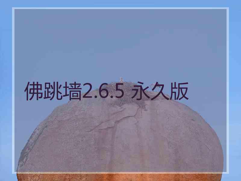 佛跳墙2.6.5 永久版