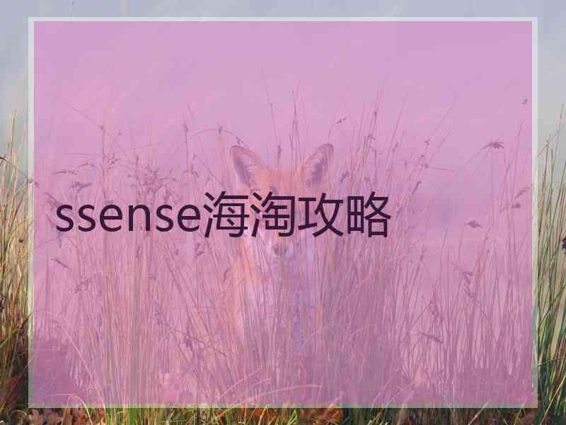 ssense海淘攻略