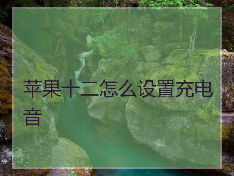 苹果十二怎么设置充电音