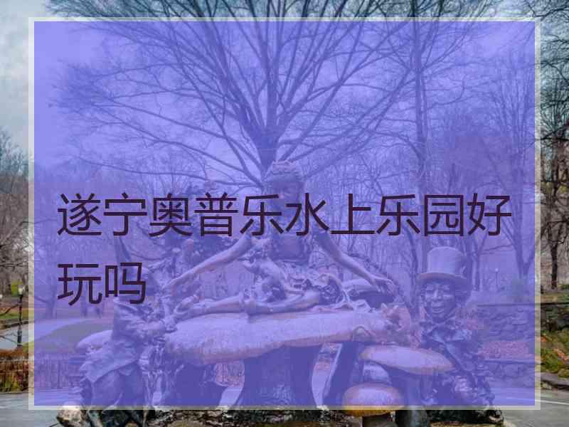 遂宁奥普乐水上乐园好玩吗