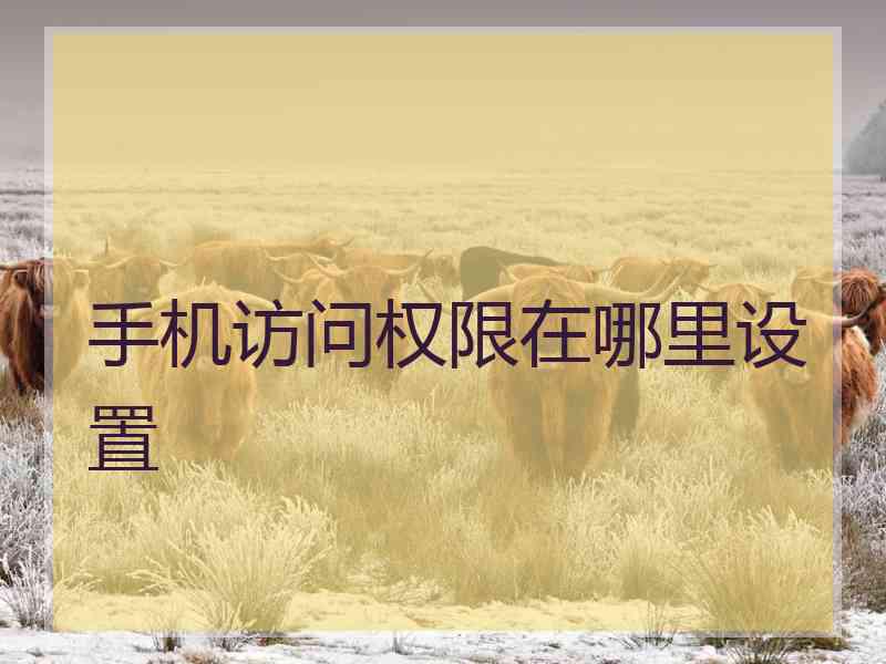 手机访问权限在哪里设置