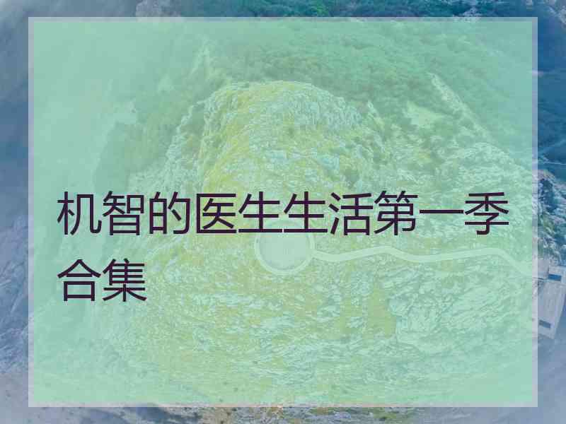 机智的医生生活第一季合集