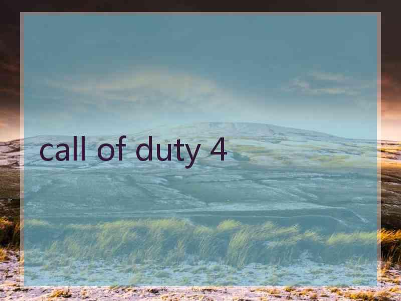 call of duty 4