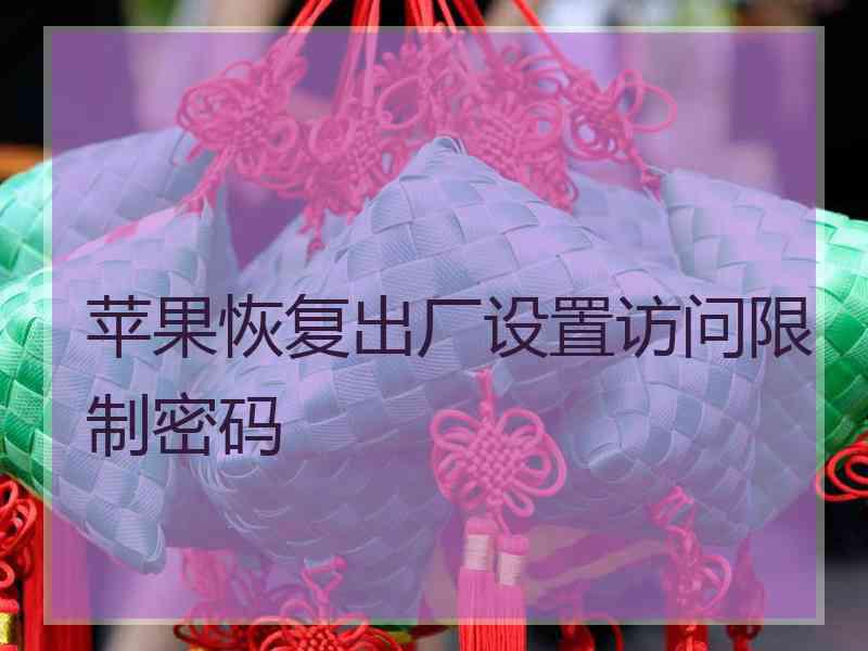 苹果恢复出厂设置访问限制密码
