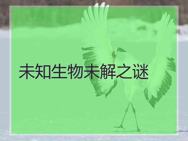 未知生物未解之谜