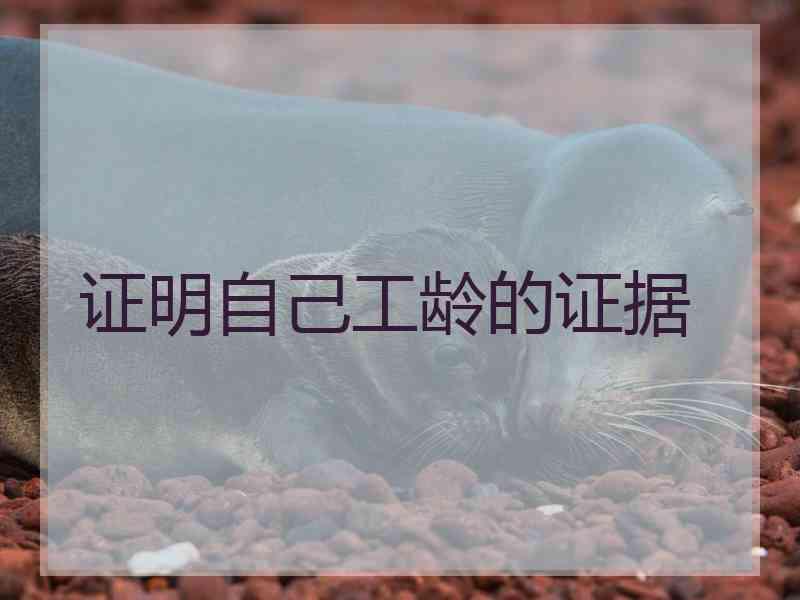 证明自己工龄的证据