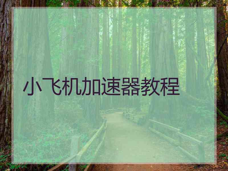 小飞机加速器教程