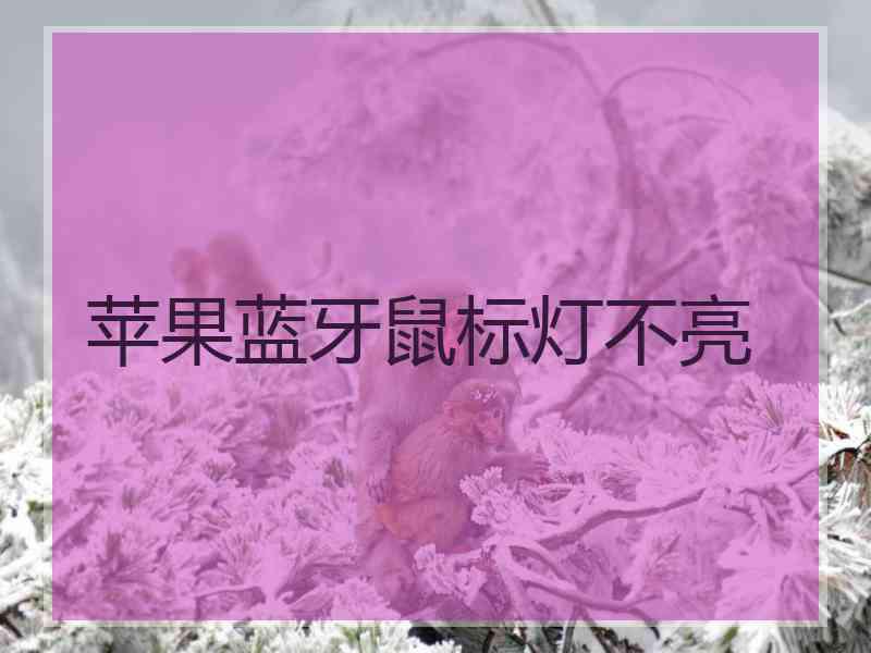 苹果蓝牙鼠标灯不亮
