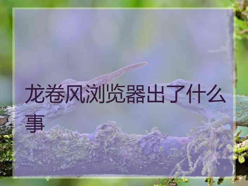 龙卷风浏览器出了什么事