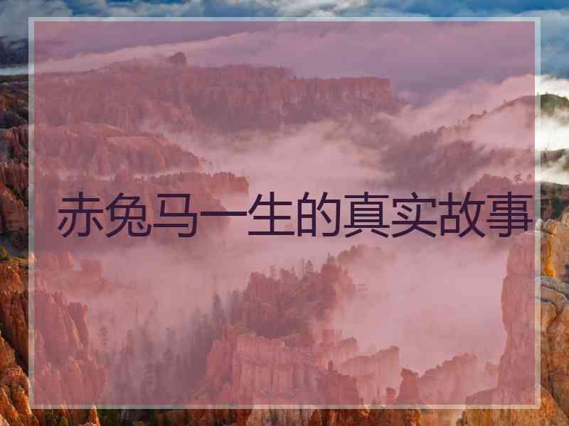 赤兔马一生的真实故事
