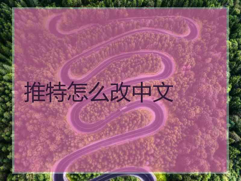 推特怎么改中文